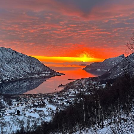 Leilighet I Rorbu Pa Kaldfarnes - Yttersia Senja Exterior foto