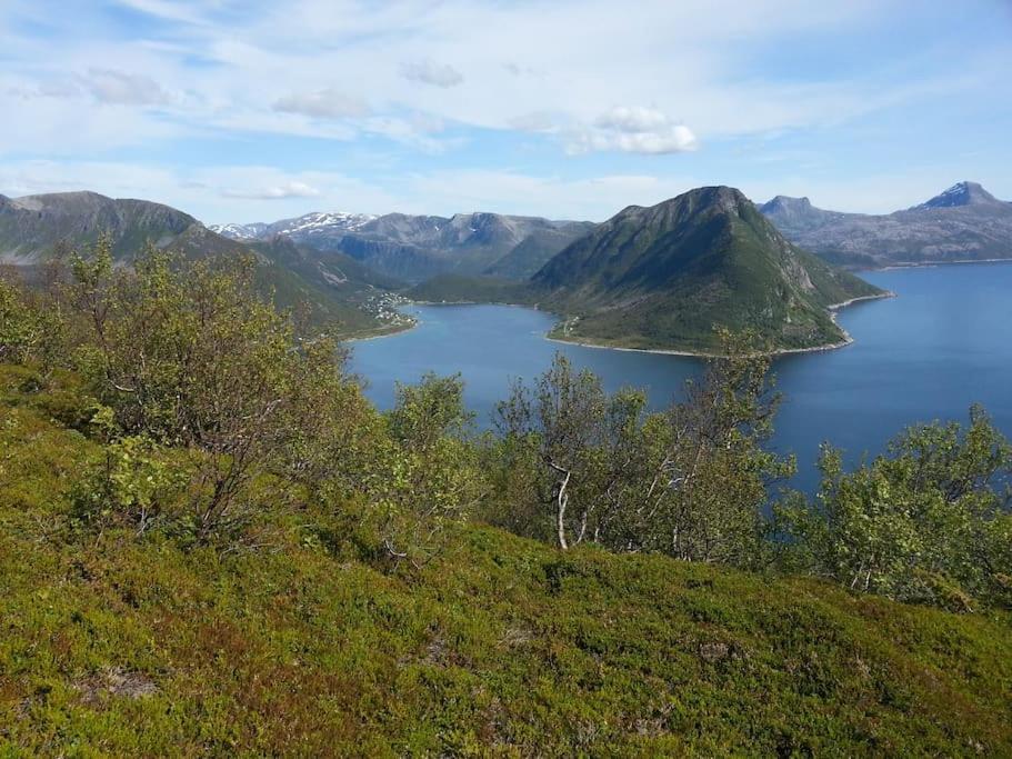 Leilighet I Rorbu Pa Kaldfarnes - Yttersia Senja Exterior foto