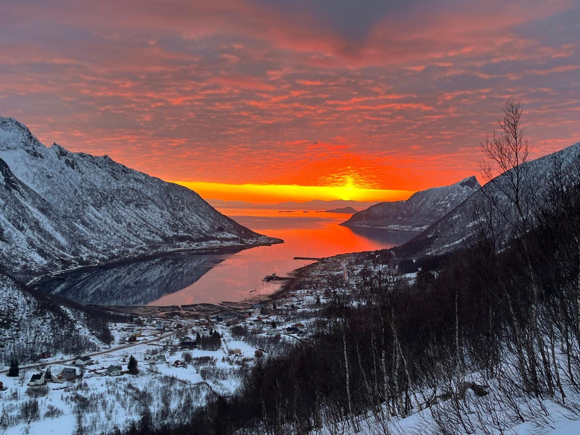 Leilighet I Rorbu Pa Kaldfarnes - Yttersia Senja Exterior foto