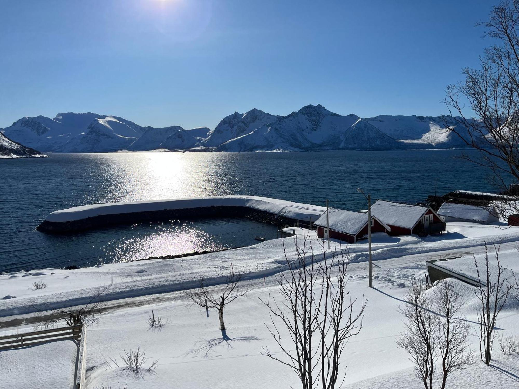 Leilighet I Rorbu Pa Kaldfarnes - Yttersia Senja Exterior foto